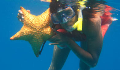tour de snorkeling en la barrera en la isla de san andres  reservas- www.dairo.ws +57 3157245384