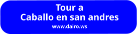 Tour a   Caballo en san andres www.dairo.ws