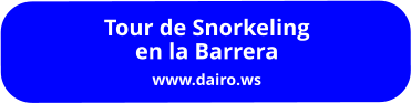 Tour de Snorkeling en la Barrera www.dairo.ws